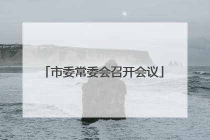 市委常委会召开会议
