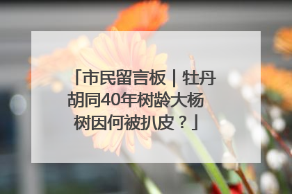 市民留言板｜牡丹胡同40年树龄大杨树因何被扒皮？
