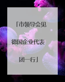市领导会见德国企业代表团一行