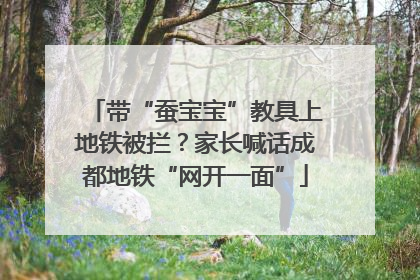 带“蚕宝宝”教具上地铁被拦？家长喊话成都地铁“网开一面”