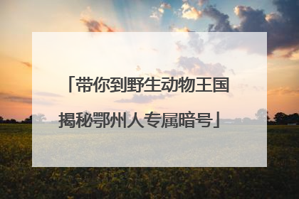 带你到野生动物王国揭秘鄂州人专属暗号