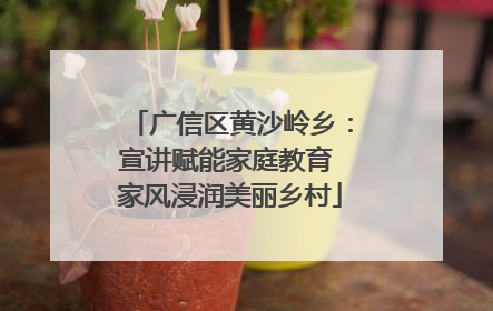 广信区黄沙岭乡：宣讲赋能家庭教育 家风浸润美丽乡村