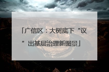 广信区：大树底下“议”出基层治理新图景