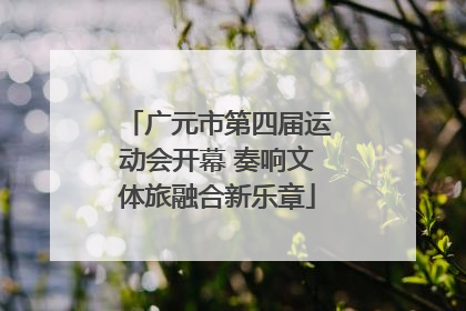 广元市第四届运动会开幕 奏响文体旅融合新乐章