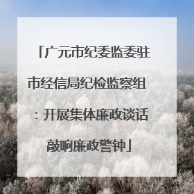 广元市纪委监委驻市经信局纪检监察组：开展集体廉政谈话 敲响廉政警钟