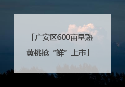 广安区600亩早熟黄桃抢“鲜”上市