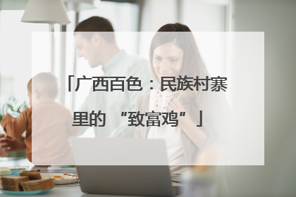 广西百色：民族村寨里的 “致富鸡”