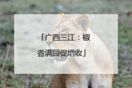 广西三江：椒香满园促增收
