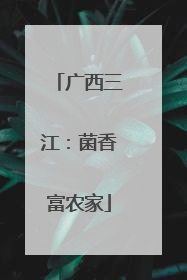 广西三江：菌香富农家