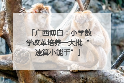 广西博白：小学数学改革培养一大批“速算小能手”