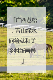 广西苍梧：青山绿水间绘就和美乡村新画卷