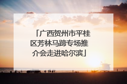 广西贺州市平桂区芳林马蹄专场推介会走进哈尔滨