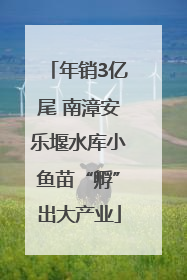 年销3亿尾 南漳安乐堰水库小鱼苗“孵”出大产业