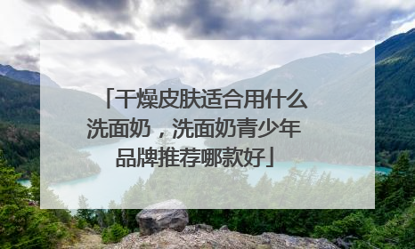 干燥皮肤适合用什么洗面奶，洗面奶青少年品牌推荐哪款好
