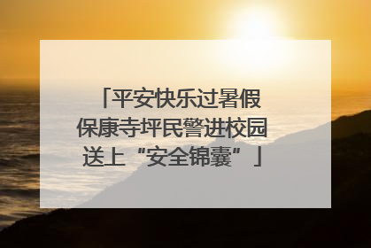 平安快乐过暑假 保康寺坪民警进校园送上“安全锦囊”