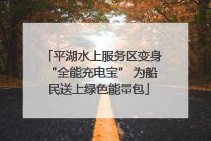 平湖水上服务区变身“全能充电宝” 为船民送上绿色能量包