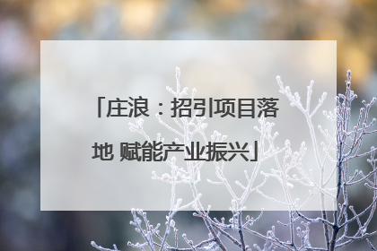 庄浪：招引项目落地 赋能产业振兴