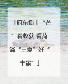 府东街丨“芒”着收获 看菏泽“三夏”好“丰景”