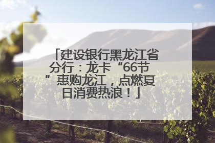 建设银行黑龙江省分行：龙卡“66节”惠购龙江，点燃夏日消费热浪！