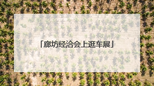 廊坊经洽会上逛车展