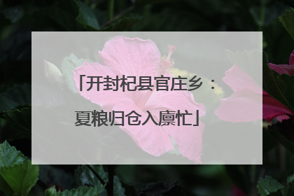 开封杞县官庄乡：夏粮归仓入廪忙