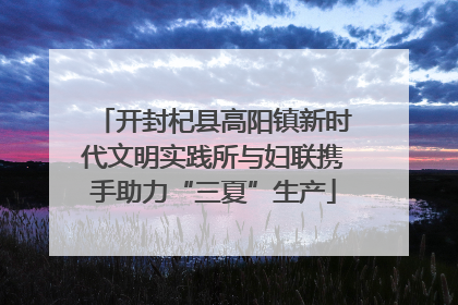 开封杞县高阳镇新时代文明实践所与妇联携手助力“三夏”生产