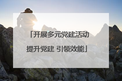 开展多元党建活动 提升党建 引领效能