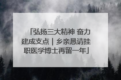 弘扬三大精神 奋力建成支点｜乡亲恳请挂职医学博士再留一年