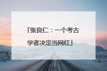 张良仁：一个考古学者决定当网红