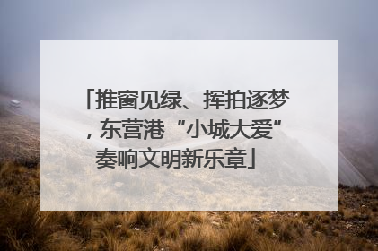 推窗见绿、挥拍逐梦，东营港“小城大爱”奏响文明新乐章