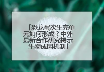 恐龙蛋次生壳单元如何形成？中外最新合作研究揭示生物成因机制