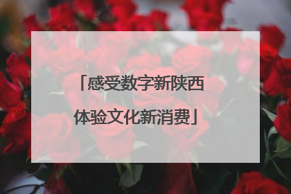 感受数字新陕西 体验文化新消费
