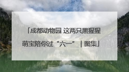 成都动物园 这两只黑猩猩萌宝陪你过“六一”｜图集