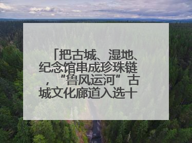 把古城、湿地、纪念馆串成珍珠链，“鲁风运河”古城文化廊道入选十大最美农村路
