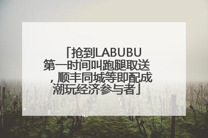 抢到LABUBU第一时间叫跑腿取送，顺丰同城等即配成潮玩经济参与者