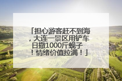 担心游客赶不到海，大连一景区用铲车日撒1000斤蚬子！情绪价值拉满！