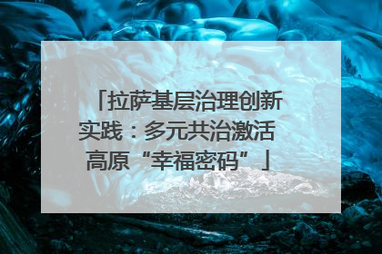 拉萨基层治理创新实践：多元共治激活高原“幸福密码”