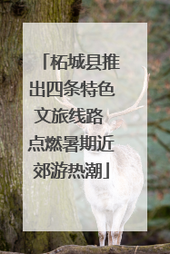 柘城县推出四条特色文旅线路 点燃暑期近郊游热潮