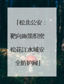 松北公安：靶向施策织密松花江水域安全防护网