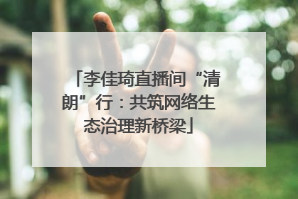 李佳琦直播间“清朗”行：共筑网络生态治理新桥梁