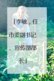 李敏，任市委副书记、宣传部部长