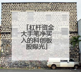 杠杆资金大手笔净买入的科创板股曝光