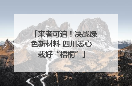 来者可追！决战绿色新材料 四川悉心栽好“梧桐”