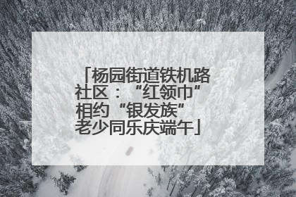 杨园街道铁机路社区：“红领巾”相约“银发族” 老少同乐庆端午