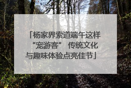杨家界索道端午这样“宠游客” 传统文化与趣味体验点亮佳节