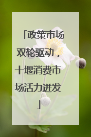 政策市场双轮驱动，十堰消费市场活力迸发