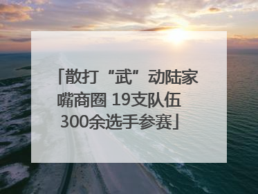 散打“武”动陆家嘴商圈 19支队伍300余选手参赛