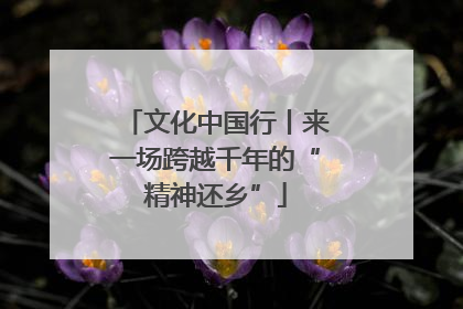 文化中国行丨来一场跨越千年的“精神还乡”