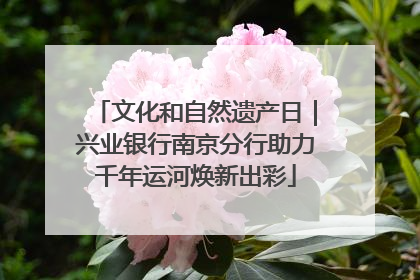 文化和自然遗产日｜兴业银行南京分行助力千年运河焕新出彩