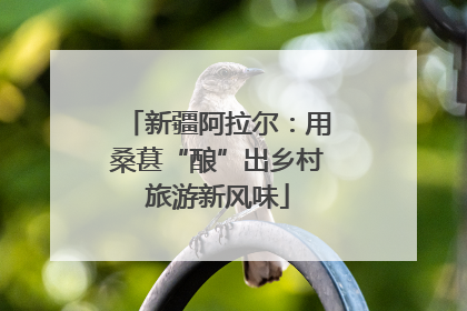 新疆阿拉尔：用桑葚“酿”出乡村旅游新风味